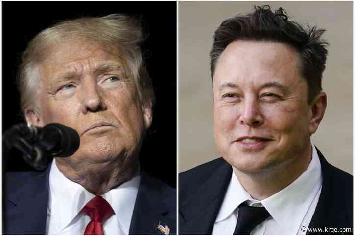 Trump blames assassination attempt on 'lack of coordination' during glitchy chat with Elon Musk