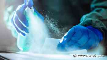 Does Your Home Have Hidden Mold? 7 Areas You Should Check Right Now