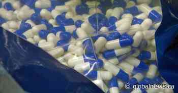 Could poop pills improve your mental health? Alberta studies aim to find out