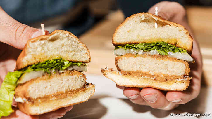 ‘Lab-grown' meat maker files lawsuit challenging Florida ban