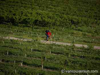 Update: B.C. Premier David Eby announces millions in aid for tree fruit growers