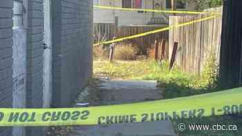 Saskatoon police weigh in on crime stats amid violent year