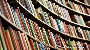 Stichting Brein haalt AI-dataset offline na ‘heterdaadje’ van auteursrechtenroof