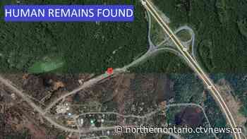 Police investigating after human remains found in Parry Sound area