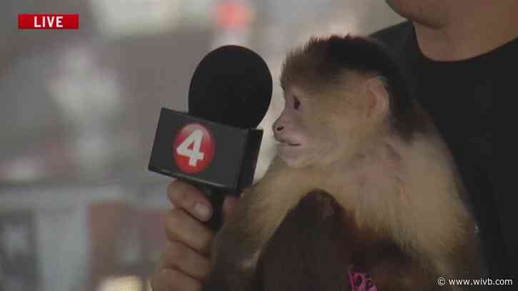 WIVB News 4 live at the Erie County Fair: Aug. 13 interviews