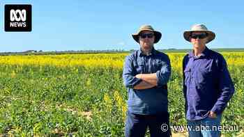A cup of tea and a chat recorded as neighbour support for proposed vanadium plant