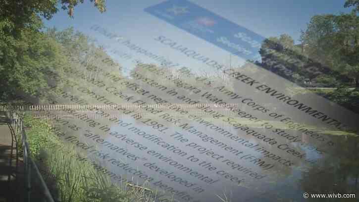 Scajaquada Creek feasibility study aims to address vegetation, aquatic life issues