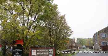 Search for leaseholder for Rising Sun Farm community farm in Wallsend extended