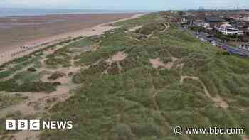 Conservationists hail sand dunes project a success