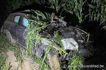 Auto raakt van ringweg, ramt enkele boompjes en rijdt tientallen meters door maisveld