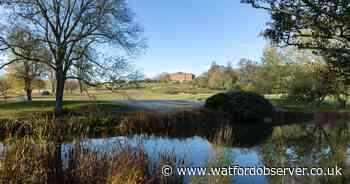 Watford destination rated one of the UK's best Christmas breaks