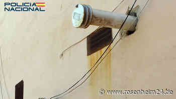 Airbnb auf Mallorca wird zur Todesfalle – Urlauber (21) stirbt wegen Vogelnest