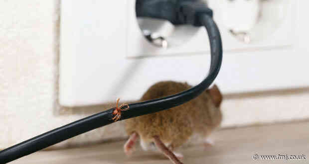 Pest management manifesto