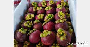 "Volumes mangosteen vergelijkbaar met vorig seizoen"
