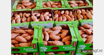 "Prijzen Egyptische zoete aardappelen zullen blijven dalen"