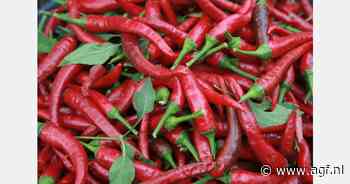 RASFF: Residuen in mini chilipepers uit Cambodja