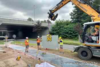 Primeur in Genk: fietsen over zonnepanelen die kunstwerk onder brug laten oplichten