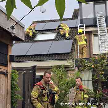 Kat overleden die klem zat in raam van dakkapel Ridderspoorhof