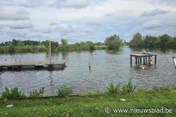 Tijdelijk zwemverbod in Vosselare Put door blauwalgen: “Gezondheid van gebruikers gaat voor”