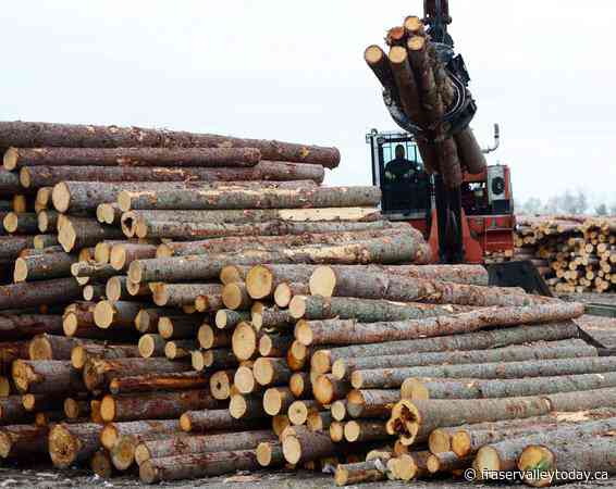 Trade minister criticizes higher U.S. softwood lumber duties as unfair, unwarranted