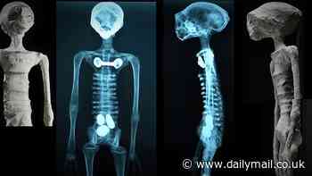 US Congress to investigate controversial Peru 'alien' mummies amid fears they could be linked to UFOs