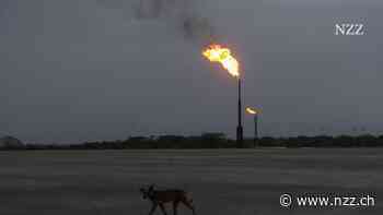 Betrug in China treibt deutschen Händler von Öko-Zertifikaten in die Insolvenz