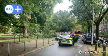 Starkregen und Gewitter in Hannover: Ast stürzt von Baum in der Südstadt