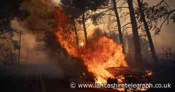 Is it safe to travel to Greece? The latest advice after wildfires in Athens