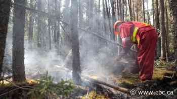Peter Ballantyne Cree Nation Chief calls for immediate action after wildfire forces evacuations