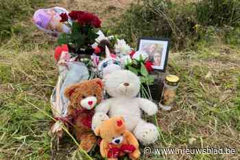 Familie richt naast snelweg rouwplekje in voor omgekomen gezin: “Bedanken iedereen voor de steun”