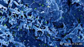 Breaking News: WHO erklärt wegen neuer Mpox-Variante "gesundheitliche Notlage internationaler Reichweite"