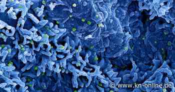 Neue Variante von Mpox: WHO ruft weltweite Notlage aus