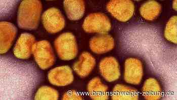 Weltweite Notlage: WHO schlägt bei Mpox Alarm