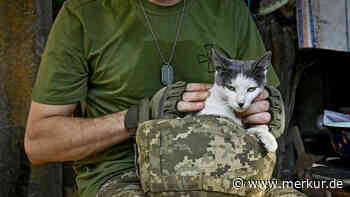 Kursk-Offensive könnte von Lage im Ukraine-Krieg ablenken: Situation in Donezk wohl dramatisch