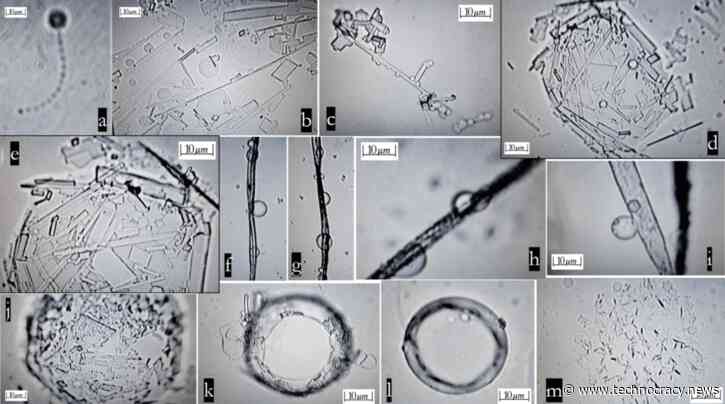 Scientists: Real-Time Self-Assembly Structures Revealed In 2-Year Study Of Pfizer And Moderna Covid-19 Shots