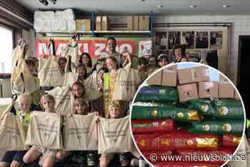 Dierenvoedselbank Bornem ontvangt grote donatie honden- en kattenvoeding: “Zo kunnen we onze missie blijven voortzetten”