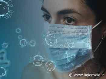 Vaiolo delle scimmie, Oms dichiara l'emergenza sanitaria mondiale