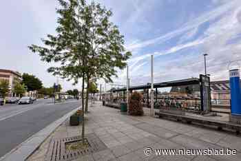 Onverzorgde plantvakken worden ingezaaid met kruidmengsel