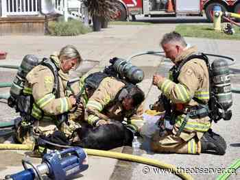 Dog rescued from Sarnia fire expected to recover
