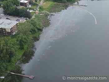 Montreal asks police to investigate east-end oil spill