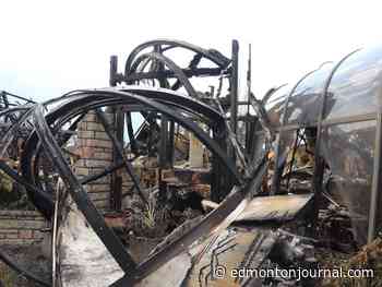 'Photos will not prepare you for the smell': Jasper residents prepare for re-entry