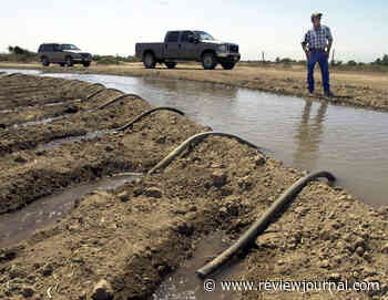 Feds will pay California farmers not to use Colorado River water