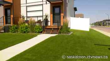 'It needed to be maintenance free': Artificial turf on the rise in Saskatoon