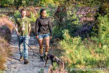 Dit zijn onze uittips: struin door de purperen hei of schrijf de strafste haiku