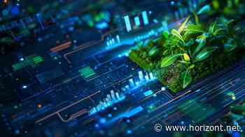 Digitale Nachhaltigkeit: Wir sollten keine Kreation mehr umsetzen, die nicht digital nachhaltig ist