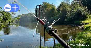 Hannover-Sahlkamp: Fischsterben im Märchensee - Stadt will Teich retten