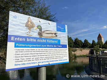 „Enten bitte nicht füttern!“ – Neue Hinweisschilder entlang der Donau
