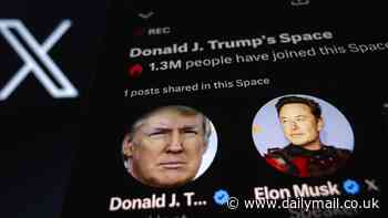 Pro-Palestine group takes credit for hacking Donald Trump-Elon Musk interview on X as 2024 gears up to be the most hackable election ever