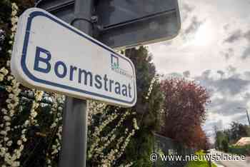 Parket eist twee jaar cel tegen Albanezen die betrokken zijn bij cannabisplantage: “Bij huiszoeking zijn 1.000 plantjes aangetroffen”