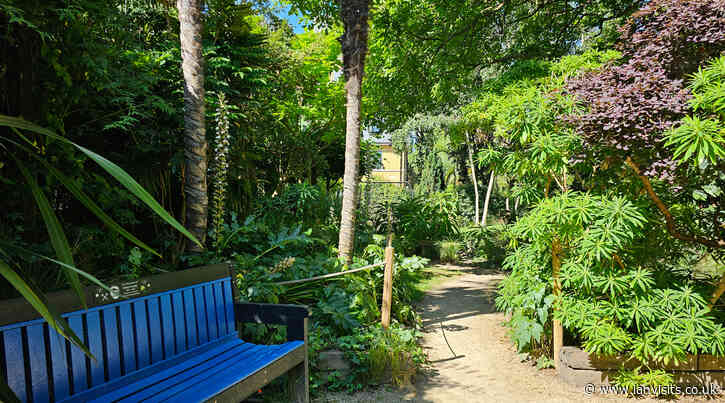 London’s Pocket Parks: Bonnington Square Pleasure Garden, SW8